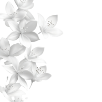 White floral arrangement on a plain background with delicate petals and soft shadows for artistic expression, Transparent background png