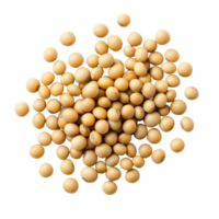 Soybean seeds spread on a plain Transparent background showcasing their smooth texture and distinct shape, Soybeans seeds on background png