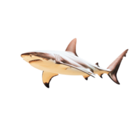 Shark object with realistic details on a Transparent background creating an isolated look, background shark object on isolatedisolated on background png