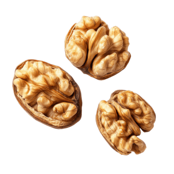 Walnuts in their shells isolated on a Transparent background highlighting their unique textures and natural shapes, Walnutsisolated on background png