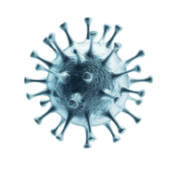 Unique virus icon isolated on Transparent background with detailed structure and texture visible, Virus icon isolated on png
