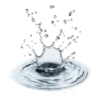 Water puddle and droplets create dynamic splash on Transparent background showcasing fluid motion and clarity, Water spill puddle and droplets isolated on png
