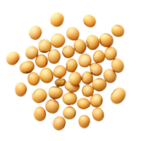 Soybean seeds isolated on a Transparent background showcasing their smooth texture and natural color variation, Soybeans seeds isolated on background png