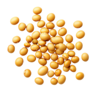 Soybeans scattered on a clean Transparent background highlighting their smooth texture and rich color, Soybeans on background png