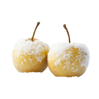 Snow-covered pears resting on a soft blanket of white snow creating a serene winter scene, snow pearisolated on Transparent background png