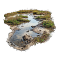 Exploring the wetland ecosystem of mudflats and puddles surrounded by greenery, Wetland Ecosystem Mudflats and Puddles, Transparent background png