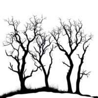 Silhouetted dry trees standing tall against a Transparent background creating a stark contrast in shape and form, Silhouette many dry trees isolated on png