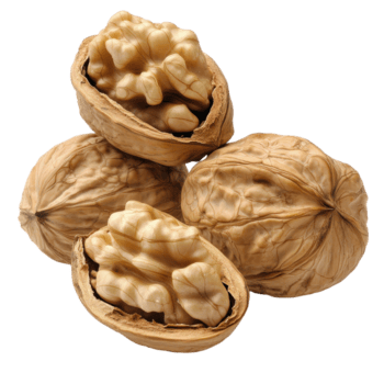 Natural walnuts in shells with delicate texture on a plain Transparent background, Walnuts background with png