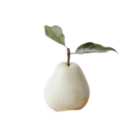 Snow pear resting on soft white fabric with green leaf accent against a simple Transparent background, snow pear on background png
