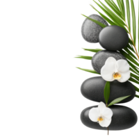 Relaxing spa and wellness arrangement featuring smooth stones and delicate white orchids on a serene background, Spa and Wellness ting, Transparent background png