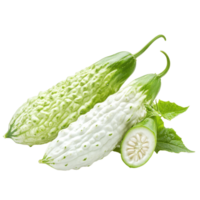 Unique white bitter cucumber variety isolated on a clean Transparent background showcasing its distinctive shape, White bitter cucumberisolated on background png