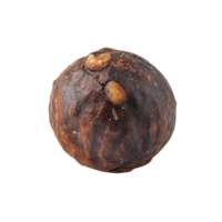 Soap nut isolated on a Transparent background showcasing its unique texture and natural appearance, Soap nut isolated on background png