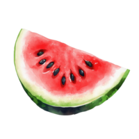 Freshly cut watermelon slice with vibrant pink flesh and black seeds isolated on Transparent background, watermelon slice isolated on background png