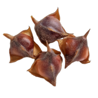 Water chestnut water caltrops displayed on a Transparent background for culinary and nutritional exploration, Water chestnut, Water caltrops on background png