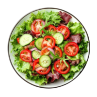 Fresh garden salad with mixed greens, tomatoes, and cucumbers presented on a white plate isolated on a clean background, salad in plate isolated on Transparent background png