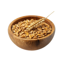 Wheat germ in a wooden bowl isolated with a sprig against a Transparent background for healthy eating concepts, Wheat germ in wood bowlisolated on background png