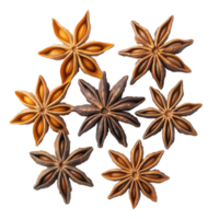 Star anise spice fruits and seeds arranged stylishly on a Transparent background, Star anise spice fruits and seeds isolated on png
