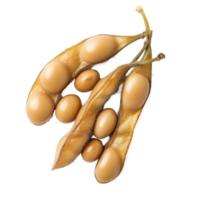 Soybeans in their natural pods isolated on a Transparent background for clear visibility and focus on their texture, Soybeans isolated on png