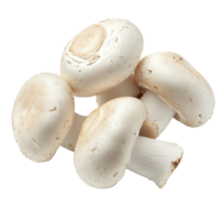 Fresh white button mushrooms arranged on a Transparent background for culinary use and presentation, White button mushrooms, background png