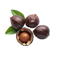 Sacha Inchi nuts displayed on a Transparent background showcasing their unique shape and texture, Sacha Inchi on background png