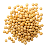 High-quality soybeans scattered on a Transparent background for culinary and agricultural use, Soybeans on background png