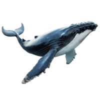Humpback whale in a striking pose against a plain Transparent background showcasing its majestic features, Whale on png