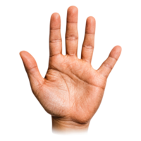 closeup of Human Hand with Open Palm Against Plain Background png
