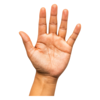 Palm of a Hand with Fingers Open Displaying Calm Gesture and Relaxation png