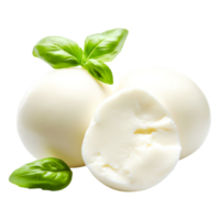 A Fresh Mozzarella Cheese with Basil Leaves on a png