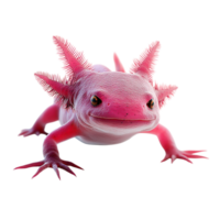 Unique and Colorful Pink Amphibian with Spiky Fins and Large Eyes png