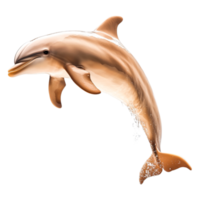 Playful Dolphin Swimming in a Splash of Water with Joyful Motion png