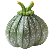 Round light green zucchini with a speckled pattern and curled stems sits beautifully making it a unique and versatile vegetable used in soups salads and hearty cooked dishes png