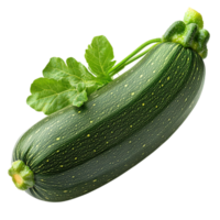 buio verde zucchine con un' azienda struttura e minuscolo macchioline riposa su un' foglia fabbricazione esso un' nutriente delizioso e ampiamente amato verdura Perfetto per torrefazione grigliate e cucinando png