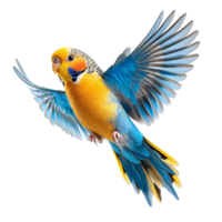 Small blue and yellow parrot soaring with its wings spread wide symbolizing freedom and the colorful charm of exotic birds png
