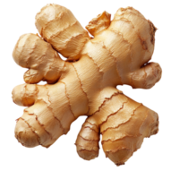 nudoso marrón dorado jengibre raíz con un áspero textura y un fuerte picante fragancia es un poderoso ingrediente usado para salud y sabor png