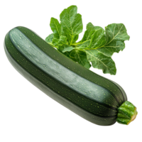 Dark green zucchini with fresh leaves has a smooth and firm texture making it a nutritious and versatile ingredient for soups stirfries and healthy meals png