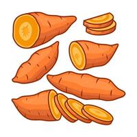 Several yam in different positions, along with some cut into various pieces. vector
