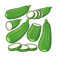 Whole and opened zucchini are arranged in various ways. vector