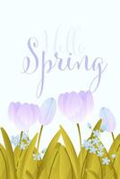 f Colorful spring flowers bloom in a cheerful design celebrating the arrival of spring with vibrant hues , hello spring vector