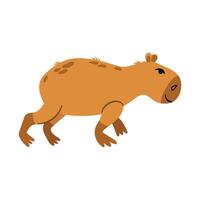 Funny cheerful capybara. White background, isolate vector