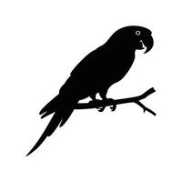 Minimalist Parrot Silhouette Perched on Tree Branch Black and White Graphic Art with Curved Beak and Long Tail Feathers in Simple Illustration vector