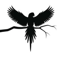 A black and white silhouette of a parrot on a branch vector