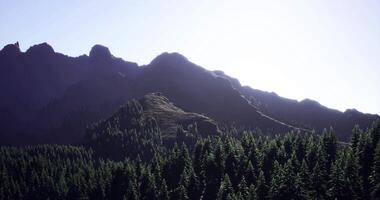 Majestic mountains rise above a dense forest bathed in warm sunlight video