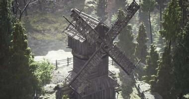 Traditional windmill surrounded by lush greenery in a tranquil setting video