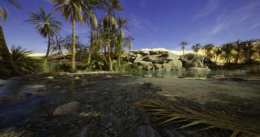 Oasis with palm trees and clear water under a bright blue sky in a desert video