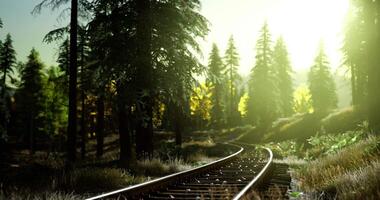 Wicklung Eisenbahn Spuren umgeben durch Grün Bäume während Sonnenuntergang Std video