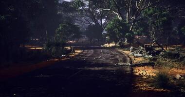 Scenic winding road through dense foliage in a tranquil setting video