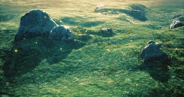 Magical landscape with glowing elements beneath a serene afternoon light video