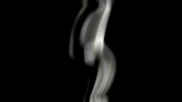 Organic Light Structure Abstract Digital Rendering video