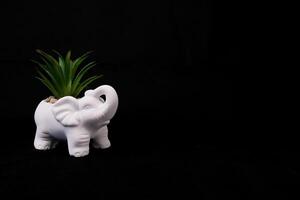 White ceramic elephant with green grass on black solid background photo